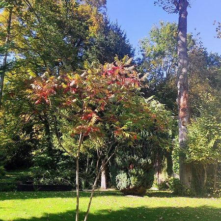 Pavillon C.R Bed & Breakfast Isles-sur-Suippe Luaran gambar